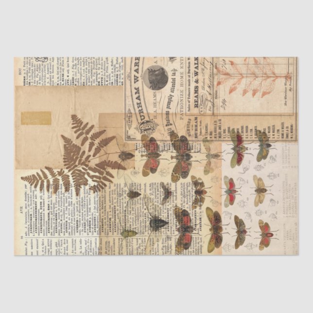 Vintage Nature Collage Tissue Tissue Paper (Front)