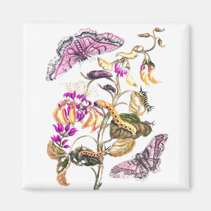 Vintage nature illustration flower and butterfly magnet