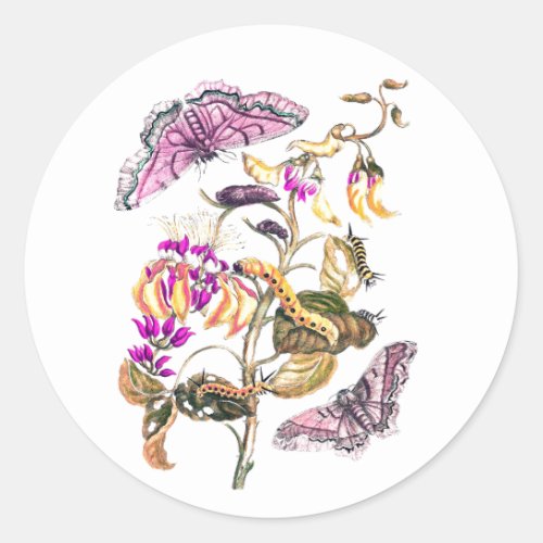 Vintage nature illustration flower butterfly classic round sticker