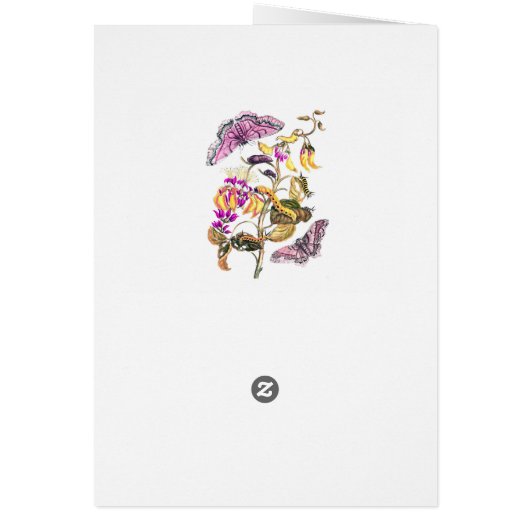 Vintage nature illustration flower butterfly plant (Back)