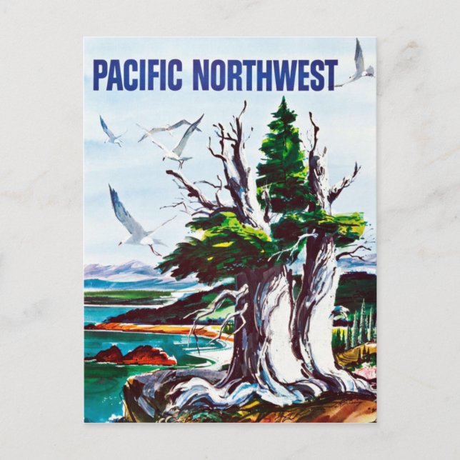Vintage Nature Wildlife Pacific Northwest Travel Postcard (Front)