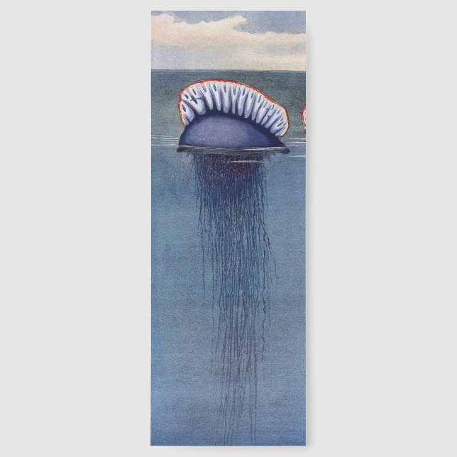 Vintage Nautical Jellyfish Coastal Chic Fishermen  Bookmarks (Front)
