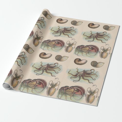 Vintage Nautical _ Octopus Nautilus and Squid Wrapping Paper