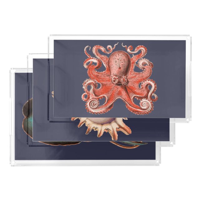 Vintage Nautical Sea Creatures Conch Seashell Acrylic Tray (Set)