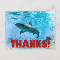 Vintage Nautical Stripe Shark Thank You Postcard
