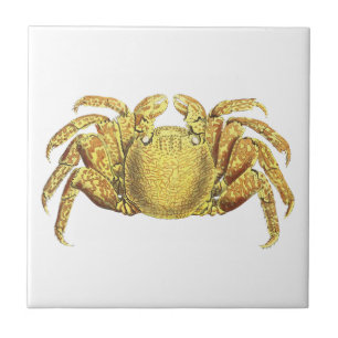 Vintage Nautical Variegated Crab Coastal Wall Art Ceramic Tile