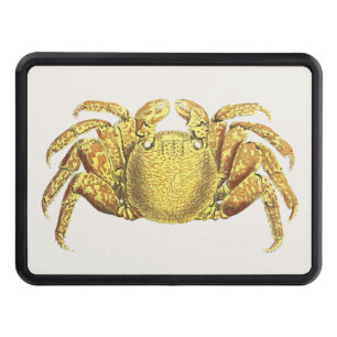Vintage Nautical Variegated Crab Coastal Wall Art Hitch Cover