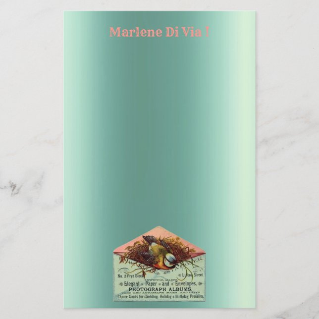Vintage nesting bird stationery (Front)