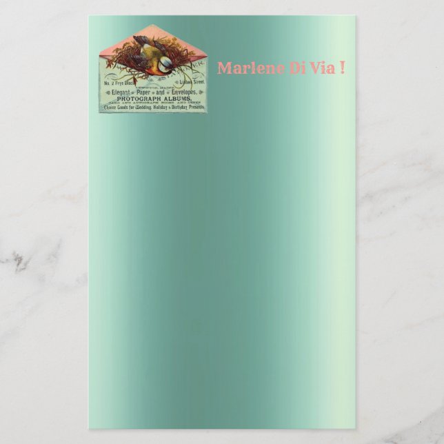 Vintage nesting bird stationery (Front)