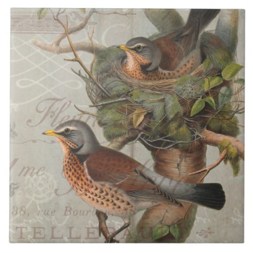 Vintage Nesting Birds Collage Botanical Art Script Ceramic Tile