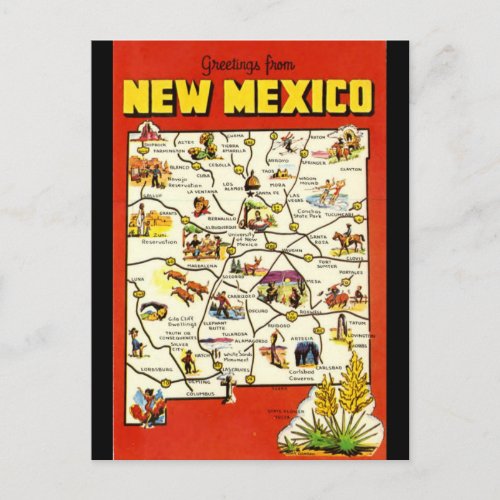 Vintage New Mexico  Postcard