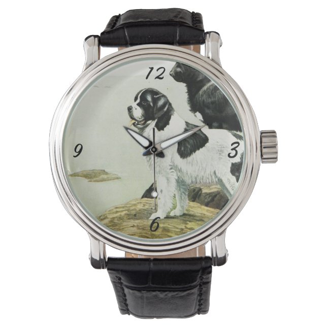 vintage newfoundland watch (Front)