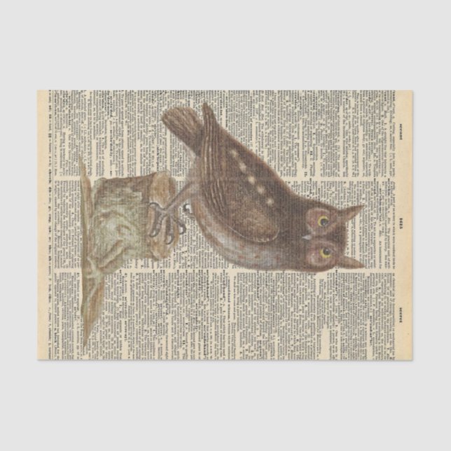 Vintage Newspaper with Barn Owl Decoupage Tissue Paper (Front)