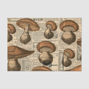 Vintage Newsprint and Mushroom Tissue Paper