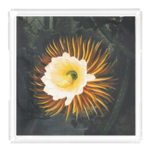 Vintage Night-Blowing Cereus Gothic Art Acrylic Tray