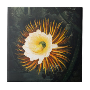 Vintage Night-Blowing Cereus Gothic Art Ceramic Tile