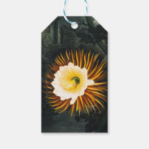 Vintage Night-Blowing Cereus Gothic Art Gift Tags
