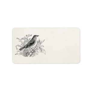 Vintage Nightingale Bird Personalized Retro Birds Label