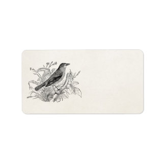 Vintage Nightingale Bird Personalized Retro Birds Label