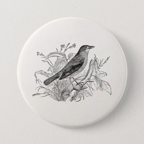 Vintage Nightingale Bird Personalized Retro Birds Pinback Button