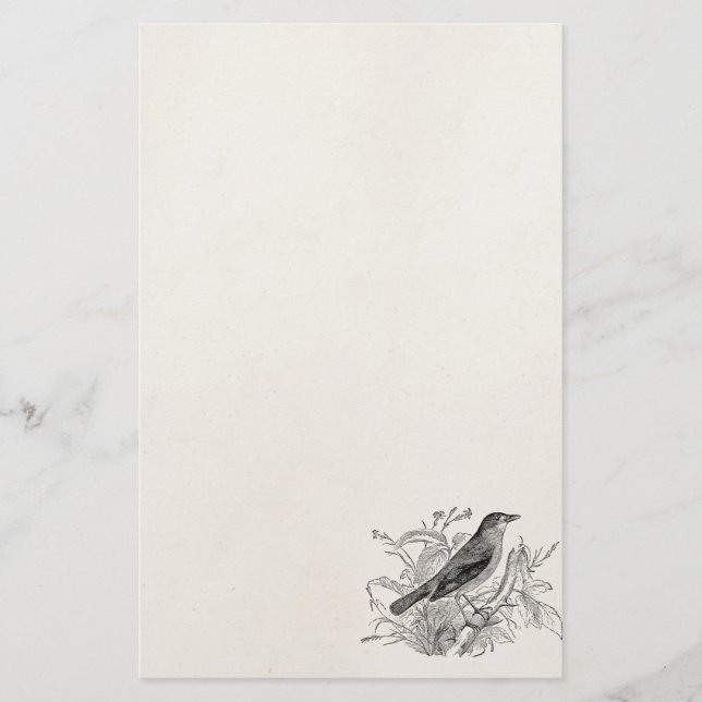 Vintage Nightingale Bird Personalized Retro Birds Stationery (Front)