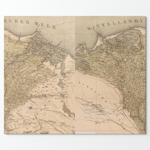 Vintage Nile River Delta 1859 Wrapping Paper