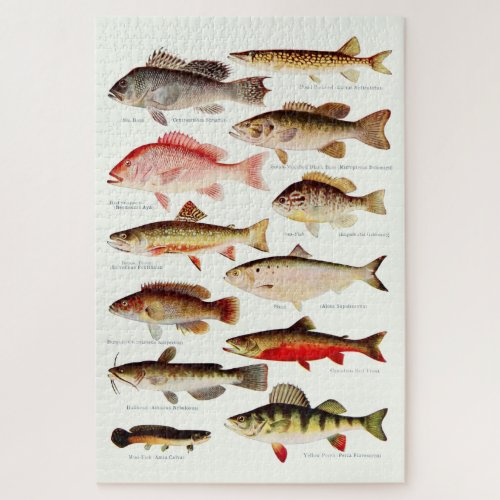 Vintage North American Fish Jigsaw Puzzle