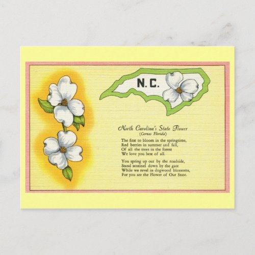 Vintage North Carolina State flower poem Postcard