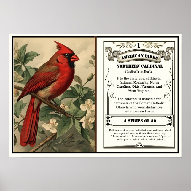 Vintage Northern Cardinal State Bird Info Poster (Front)