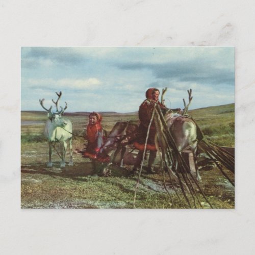 Vintage Norway Lapland Sami with reindeer Postcard