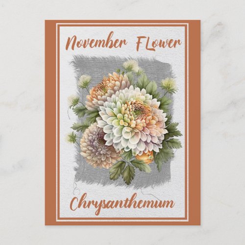 Vintage November Flower Chrysanthemum Floral Postcard