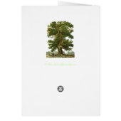 Vintage Oak Tree Art Blank Art Card (Back)