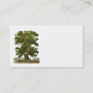 Vintage Oak Tree Business Card