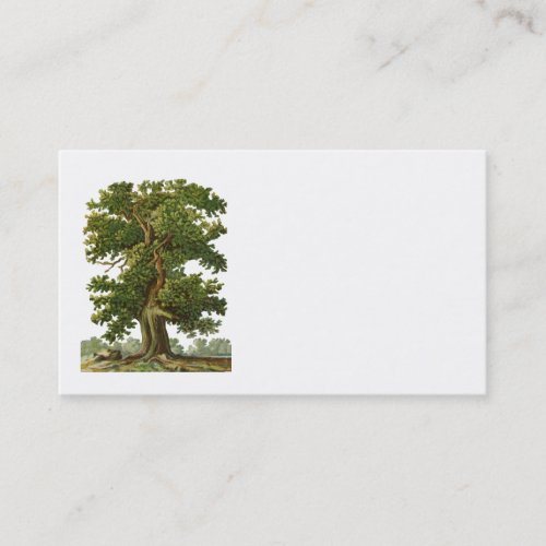 Vintage Oak Tree Business Card