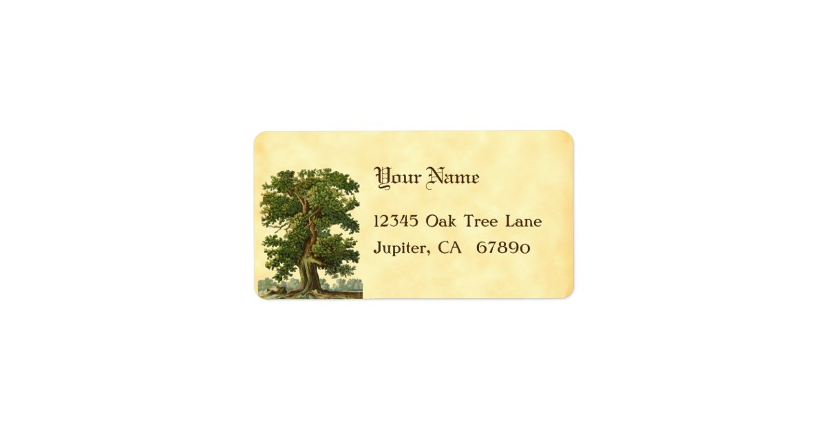 Tree Address Labels Vintage Oak Tree Custom Address Labels | Zazzle