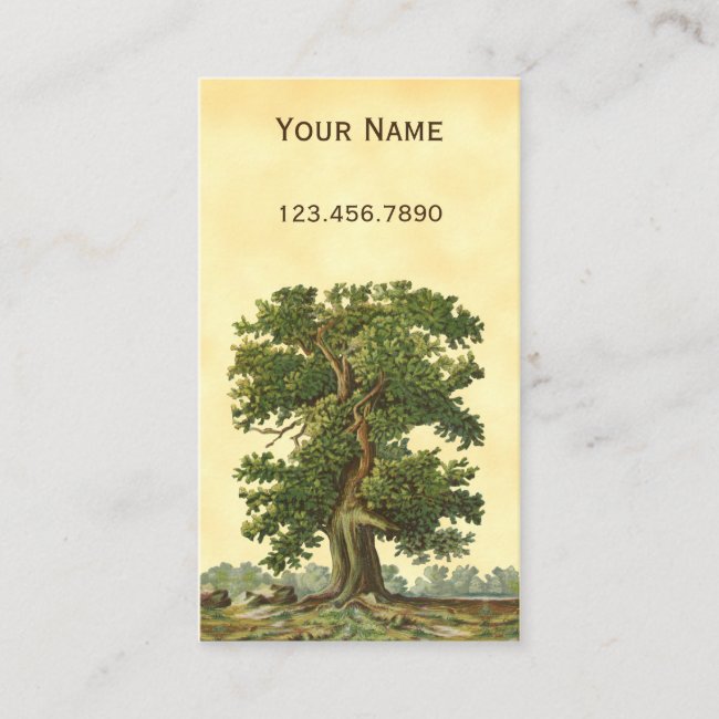 Vintage Oak Tree Custom Business Card
