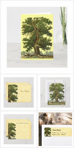 Vintage Oak Tree Custom Designs