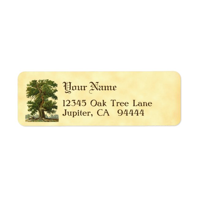 Vintage Oak Tree Custom Return Address Labels