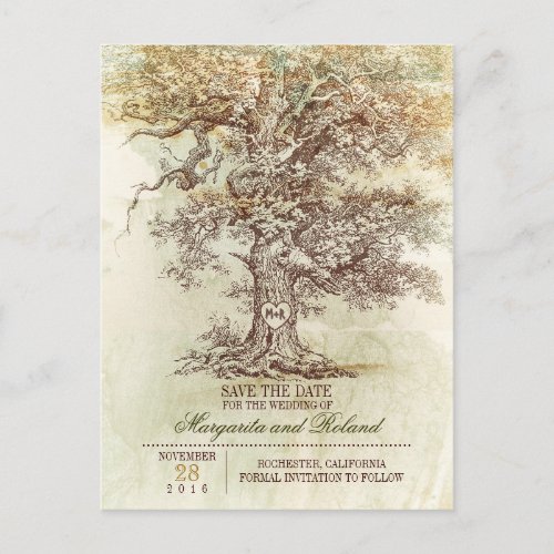 vintage oak tree save the date postcards