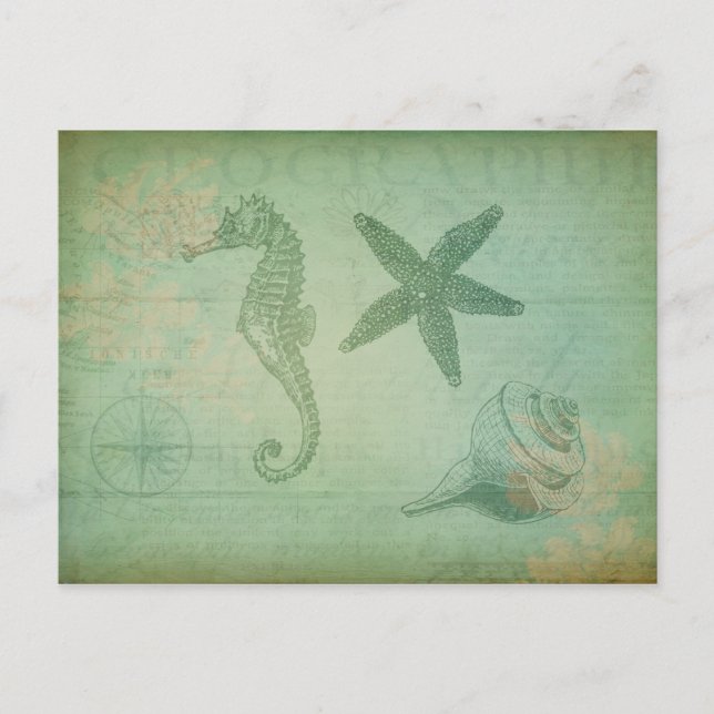 Vintage Ocean Animals and Seashells Postcard (Front)