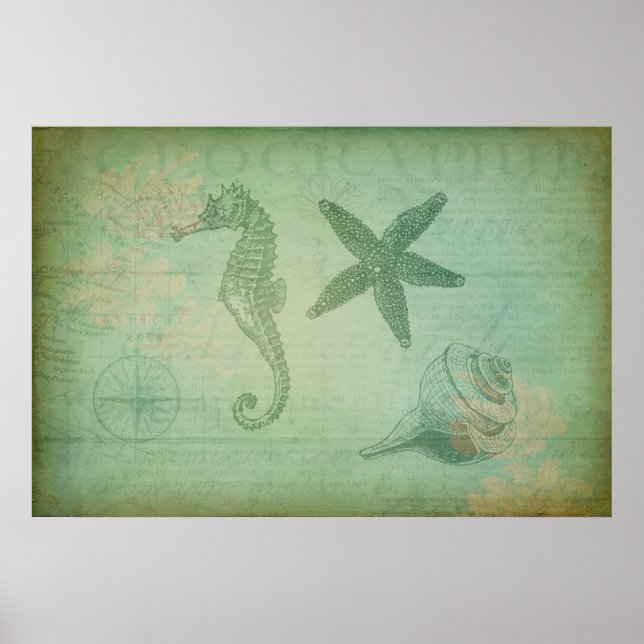 Vintage Ocean Animals and Seashells Poster (Front)