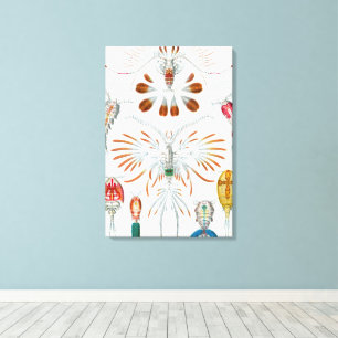Vintage Ocean Animals, Copepoda by Ernst Haeckel Canvas Print