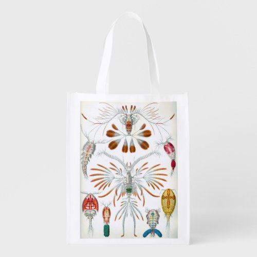 Vintage Ocean Animals Copepoda by Ernst Haeckel Grocery Bag