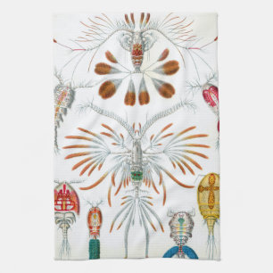 Vintage Ocean Animals, Copepoda by Ernst Haeckel Kitchen Towel