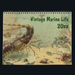 Vintage Ocean Marine Life Animal and Sea Creatures Calendar<br><div class="desc">12 month vintage illustration marine life calendar featuring various marine creatures including crustaceans,  fish,  sea turtles,  seals,  sea lions,  tropical fish,  coral and more!</div>