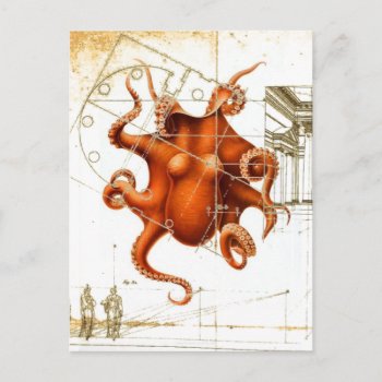 Vintage Octopi Sea Squid Steampunk Octopus Postcard by cranberrysky at Zazzle