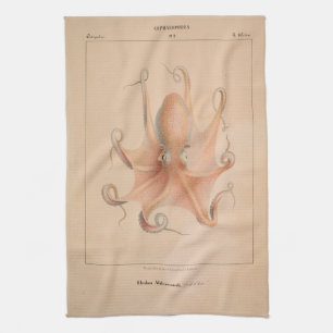 Vintage Octopus 1851 Eledon Aldrovandi Kitchen Towel
