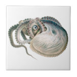Vintage Octopus Argonaut, Marine Life Animals Ceramic Tile