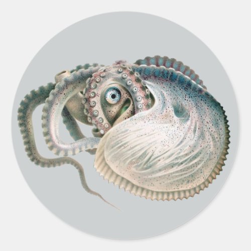 Vintage Octopus Argonaut Marine Life Animals Classic Round Sticker