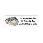 Vintage Octopus Argonaut, Marine Life Animals Label